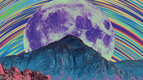 trippy_video_icon.png
