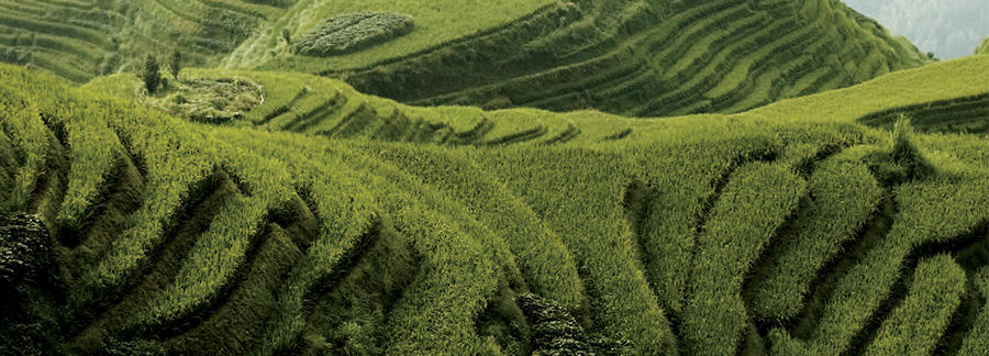 green hills with distinct ridges