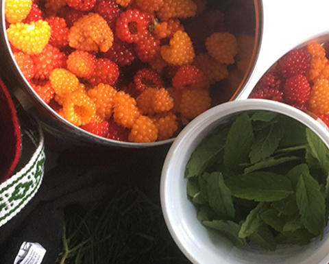 bowls of berries, leaves, and petals