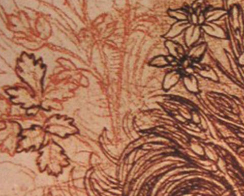 nature line drawing